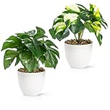 PASCH® 2er Set Kunstpflanzen wie echt (18cm) in bruchfesten Melamintöpfen |...