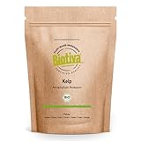 Kelp Pulver Bio hochdosiert - 200g - Natürliches Jod - Kelpalgen - Abgefüllt in...