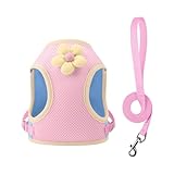 Sicheres Großes Hundegeschirr Für Kleine Rassen Ohne Zug Atmungsaktive Weste Leine...