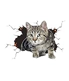 3D Katze Aufkleber, Autoaufkleber, Niedliche Katze Dekorationen Benutzerdefinierte Auto...