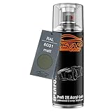 RAL 6031 Bronzegrün matt 2K Acryl Spraydose Sprühdose Sprühlack Spritzlack...