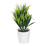 Ideen mit Herz Deko-Ziergras im Topf | Kunststoff | Rohling zum Weiterverzieren | weiß |...