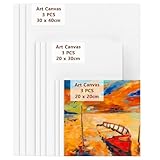 Koncci Leinwand zum Bemalen - 9 Stück(20x20, 20x30, 30x40 cm) Leinwand Set aus...