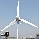 JMOMC 5000W 5KW Windkraftanlage Freier Energiegenerator 220v 3 Flügel Hydrogenerator...