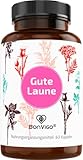 BonVigo® GUTE LAUNE - Normale Funktion Nervensystem & Psyche unterstützen...