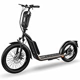 Elektro Scooter mit Straßenzulassung ABE E-Scooter Elektroroller eKFV Zulassung Faltbar...