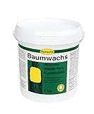 Schacht Baumwachs Brunonia 1 kg
