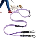Hundetraining, robustes Trainingsseil, robustes Spazierengehen für große Hunde bis zu...