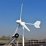 5000 W Windkraftanlage 48 V 96 V 220 V Horizontaler Windgenerator Free Power Energy High...