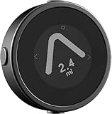BEELINE Motorrad Navi GPS Computer - Metallgrau I Weltweite Routenplanung I Wetterfest &...