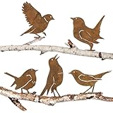 BOFUNX 5 Stück Rost Vogel Gartendeko Gartenstecker Roststecker Metall Vögel...