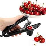 Kirschentkerner - Obst Pitter Remover Olive Corer Entfernen Pit Samen Gadget...