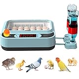 Eierkubator Inkubatoren zum Schlüpfen von Eiern automatische...