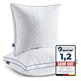 BedStory Kopfkissen 80x80, 2er Set Kissen 80x80 mit Reißverschluss, 2x1500g...