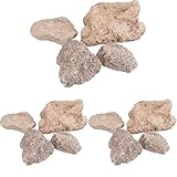 Campingaz Original Lavasteine, für Lavasteingrillgeräte, Steine zum Grillen, Grillsteine...