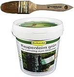 Schacht Raupenleim 1kg Eimer + Veddelholzer Marken-Pinsel 35mm Breit Leimringe für...