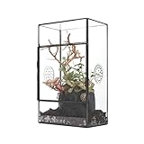 NCYP Rechteckiges Glas Terrarium mit Seitentür und DREI Belüftungslöchern...