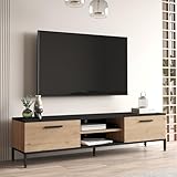 [en.casa] TV Board Lempäälä Lowboard 160 cm Fernsehtisch mit 2 Türen und 2...