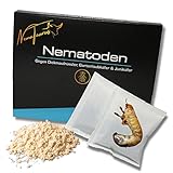 NemaTaurus® HB Nematoden | 12 Mio für 24 m² | gegen Larven des Dickmaulrüssler -...