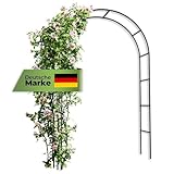 JETZT NEU! Rosenbogen [240 x 140 x 37cm ] geeignet für Jede Art von...