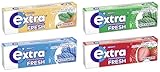 Extra Professional Fresh Kaugummi Mix I 40 Packungen 4 Sorten I Fresh Melon Mint...