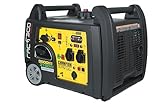 Champion Power Equipment mobiles Stromaggregat Benzin + Gas (3100 Watt, tragbarer...