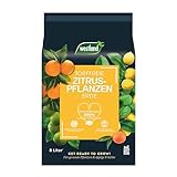 Westland Zitruspflanzen Erde, 8 l – Erde mit Tongranulat für gesunde Zitronenpflanzen,...