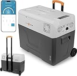 peme elektrische Kühlbox Expedition 39 Liter, Cool Box mit 12 Volt und 230 Volt...