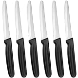 LNQ LUNIQI Frühstücksmesser Wellenschliff Edelstahl 20 cm - 6 Stück Frühstücksmesser...