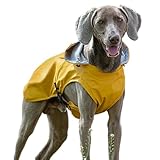 Hunde-Regenmantel – Regenjacke für Hunde, wasserdicht, verstellbare Größe,...