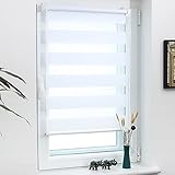 Grandekor Rollos für Fernster ohne Bohren 65x200cm(Stoffbreite 61cm) Doppelrollo Klemmfix...