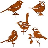 Gartenstecker Vögel Deko Rost,5er Rost Vogel Gartendeko für Draußen,...