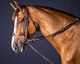 Kentucky - Leather/Nylon Draw Reins 5/8'