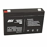 DSK 103201 - Versiegelte wiederaufladbare AGM-Bleibatterie 6V mit 7Ah. Ideal für Auto-...