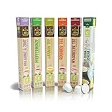 SanSiro BIO Tee PROBIERSET| für Nespresso | 60 Kaffeekapseln | BIO...