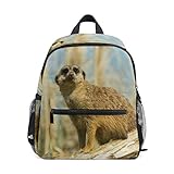 Eslifey Uni Outdoor-Tagesrucksack, Motiv: Erdmännchen, 2., 3., 4. Klasse, Schulrucksack...