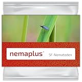 e-nema Nematoden gegen Trauermücken | 3 Mio. für 6 m² oder bis zu 30 Pflanzen |...
