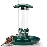 WILDLIFE FRIEND I Körner Futtersäule mit XL Futterteller, Grün - Futterschale...