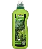 Dehner Koniferen,- Tannen- und Thujen-Dünger, flüssig, 1 l, für ca. 100 l