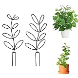 Rankhilfe für Zimmerpflanzen, Garten Pflanzenstütze Rankhilfe, Blumenstütze...