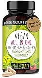 Vegan All-in-One - Vitamin B12+D3+K2+B2+B6+B9 Folsäure + Zink + Eisen + Selen + Natrium +...