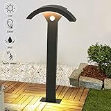 LED Wegeleuchten mit Bewegungsmelder 12W, LED Gartenleuchte Außen, Stehlampe...