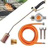 Fepro Gasbrenner Abflammgerät inkl. 4,5m Schlauch, 4 bar Druckminderer und Zubehör, 58kW...