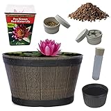 Joe's Terrassenteich-Komplett-Set enthält Everything Live Aquatic Hardy Wasserlilie,...