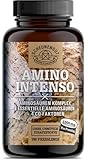 Aminosäuren Komplex hochdosiert -WICHTIG: Vegane Amino Tabletten mit 12...