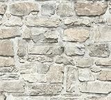 A.S. Création Elements Vliestapete mit Steinmotiv Naturstein 0,53 x 10,05 m –...