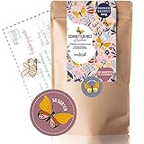 Schmetterlingswiese I 500 g I Blumenmischung für 500 m² I Blumenwiese Samen...