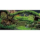MIRRORANG 76x46cm Aquarium Hintergrund Zweige Terrarium Hintergrund...