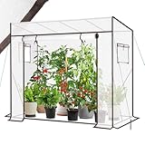 Sekey Gewächshaus Tomatengewächshaus 200x170x77 cm, Begehbarers Tomaten Gewächshaus...