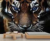 Tiger Tapete Tierdruck Wandbild Dunkle Mädchenzimmer Tapete Streifen Tapeten für...